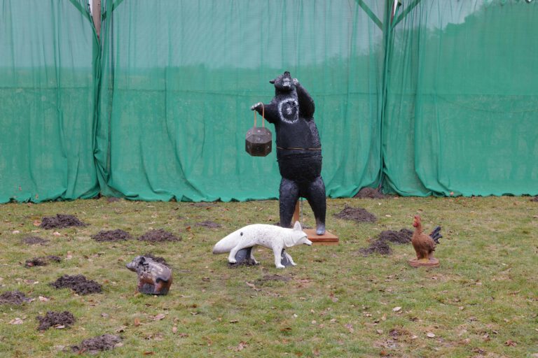 Schneeflocke L1010504