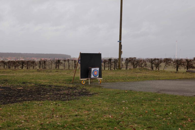 Schneeflocke L1010506